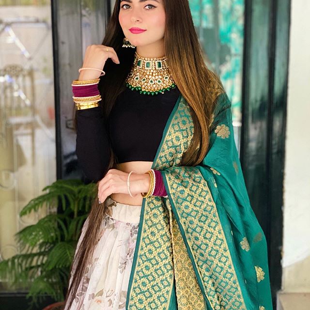 Shilpa Chaudhary Tiktok star lifestyle