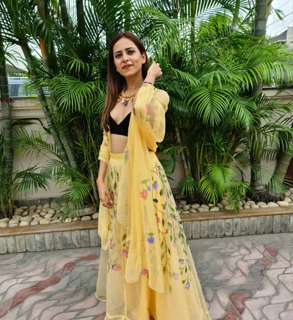 Sargun Mehta Age, Husband, Biography, Movies