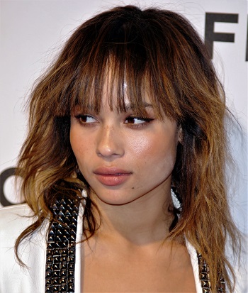 Zoe Kravitz Biography, Wiki, CatWoman, Age, Net worth