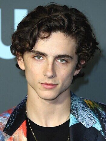 Timothee Chalamet: Biography, Wiki, Age, Height, Lily Rose, Net Worth